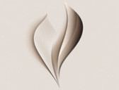Vita Aesthetica