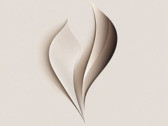 Vita Aesthetica