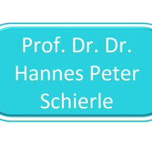 Prof. Dr. Dr. Hannes Peter Schierle