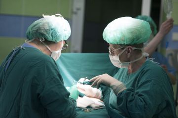 E. A. Barańscy - zespół podczas operacji