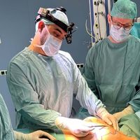 Wann zahlt die Krankenkasse für Brustverkleinerung? Kostenübernahme leicht gemacht!