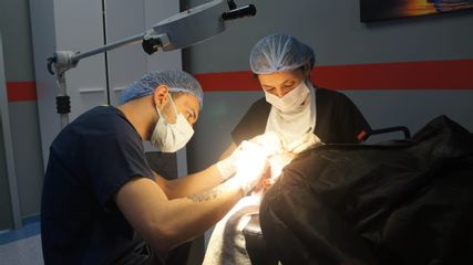 Istanbul Vita Haar Klinik
