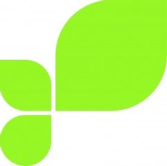 Logo Tsch blaetter dunkles gruen Kopie