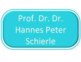 Prof. Dr. Dr. Hannes Peter Schierle