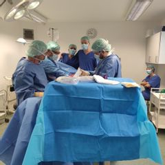 Dr. Pablo Hernandez