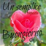 Anonym