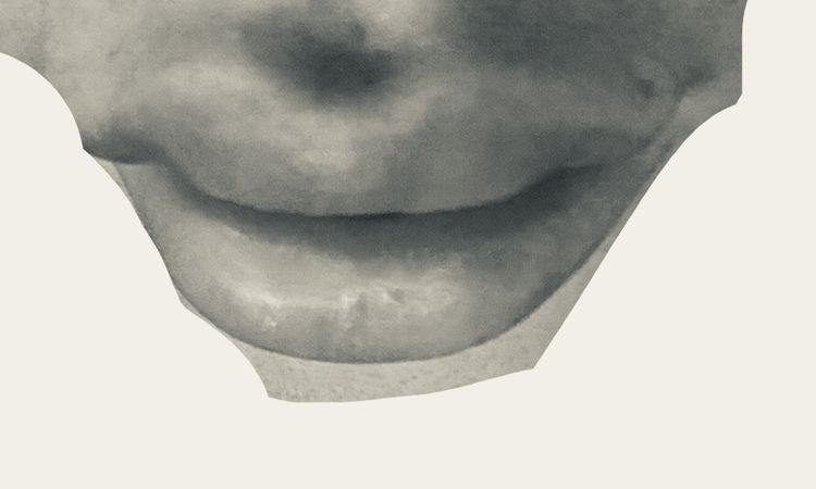 Lipfiller angesammelt in der Mitte - 82290