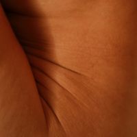 Haut
