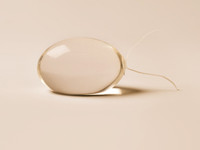 Sebbin Hodenimplantate