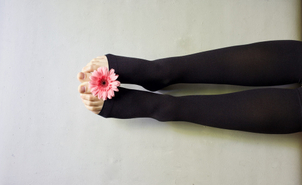 Was sind Besenreiser?