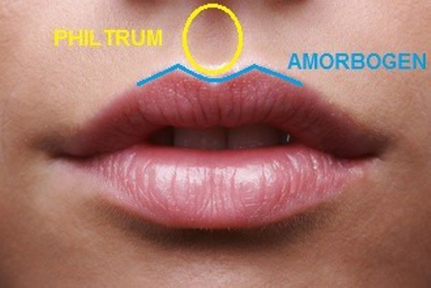Die Konturierung der Lippen  - Dr. Huschek