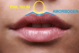 Die Konturierung der Lippen - Dr. Huschek